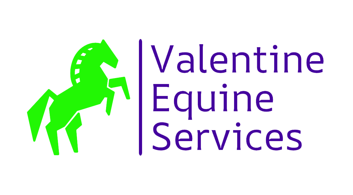 Valentine Equine Services